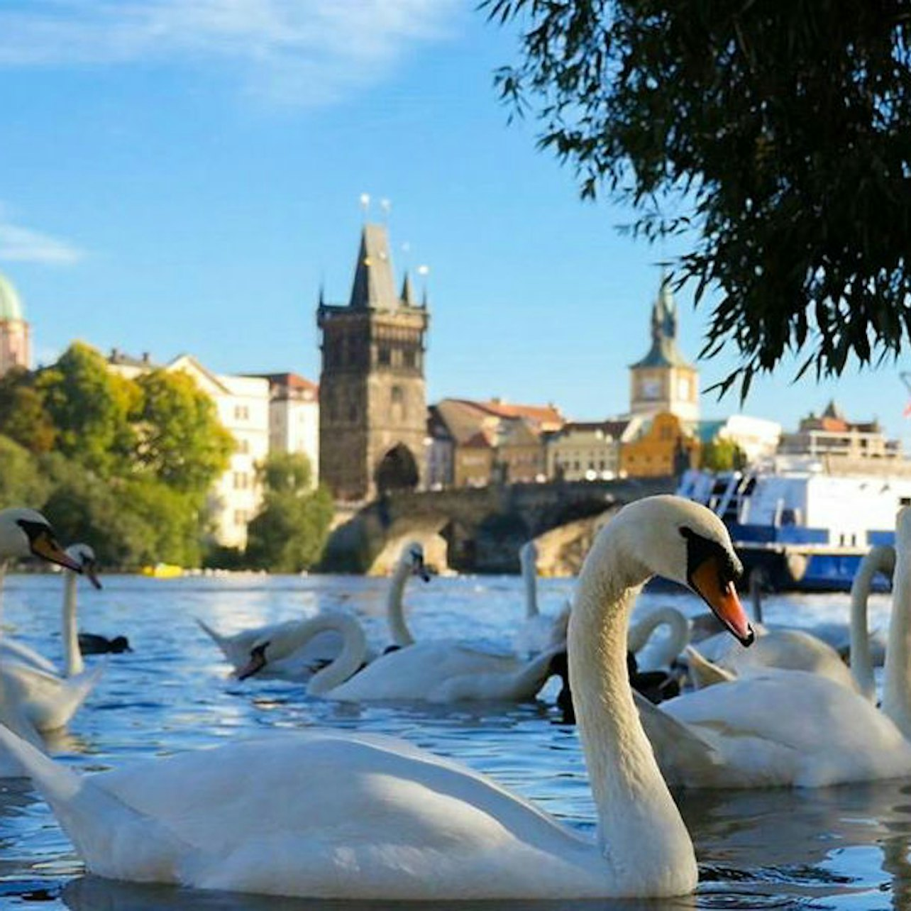 1-Hour River Cruise + Audio Guide (Prague) - Photo 1 of 6